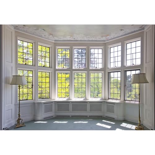 15x10ft Big Bright Window Backdrop Window Garden Zoom Room Background for Wall Zoom Living Room Office Backdrop for Video Conference Background for Video Recording - size: 15x10ft