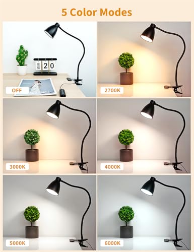 BOHON Desk Lamp 5 Color Modes 10 Brightness Dimmer Reading Light Black | 10W 38 LED Clamp Lamp with Auto Off Timer 360° Flexible Neck Clip on Light for Bed Bedside, AC Adapter Include - color: Black