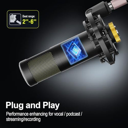 Podcast Equipment Bundle for 2, with XLR Dynamic Microphone, TF card, 5RGB,Surround Sound,Suitable for Live Streaming/TikTok/YouTube, Compatible with iOS,Android,PC,Camera RS2 - style: Audio interface+ 2 dynamic mics