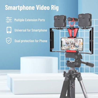 Professional Phone Shooting Rig Stabilizer, Aluminum Alloy Mobile Phone Handheld Rabbit Cage for Live Video & Portrait Recording, Universal Video Rig with Dual Handles, A
