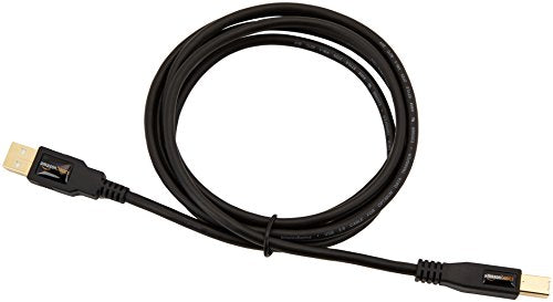 Amazon Basics USB 2.0 Cable, USB-A to USB-B, for Printer or External Hard Drive, Connect to Computer/Laptop/PC, 480 Mbps Transfer Speed, Gold-Plated Connectors, 6 Foot, Black - size: 6 Feet