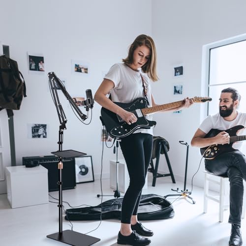 BILIONE Microphone Stand with Weighted Base, Mic Floor Stand Boom Arm with Mic Accessory Tray, Microphone Clip Holder, 3/8" to 5/8" Screw Adapter, Cable Ties