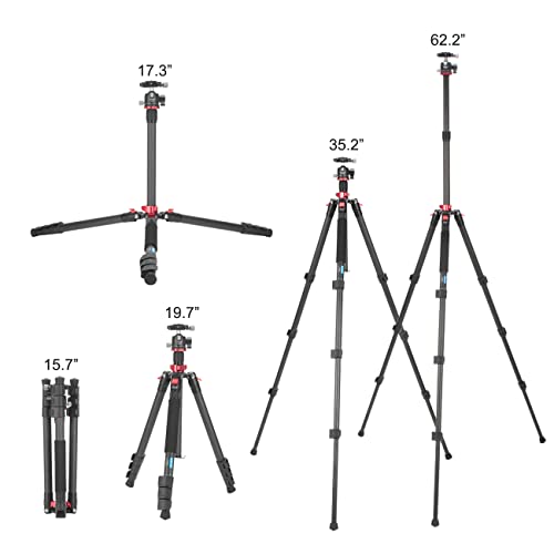 CAVIX Professional 62" Carbon Fiber Camera Tripod, Tripod & Monopod 2 in 1, Lightweight Travel Tripod with 360° Ball Head, Arca Quick Release, 22lb Load for DSLR Video Travel Photography - size: Carbon Fiber(62")