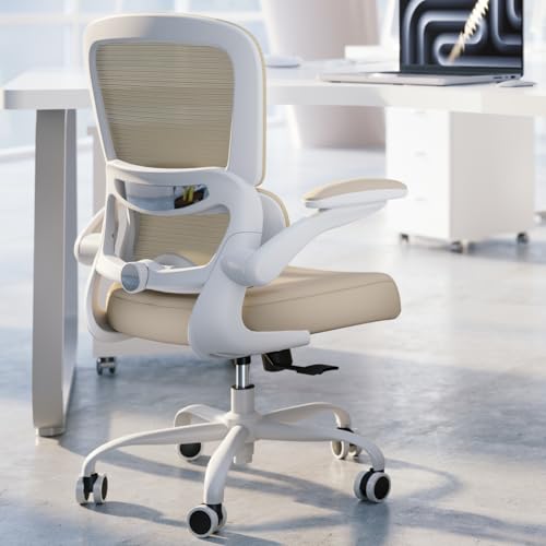 TRALT Office Chair - Ergonomic Desk Chair with Adjustable Lumbar Support, Mesh Computer Chair, Executive Chair for Home Office Comfortable Lumbar Support (1, Greige) - color: Greige