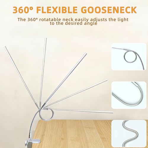 Space Aluminum LED Desk Lamp with Clamp Reading Study Desk Light | Clip on Light for 3 Modes 10 Brightness Flexible Gooseneck with USB Adapter Table Lamp for Home Office Computer Nail Work