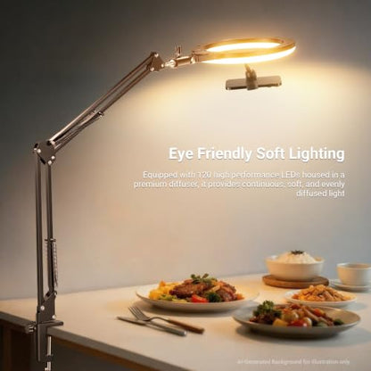 NEEWER Entry Level Version 10.5" Overhead Desktop LED Ring Light, Clamp Stand for Desk/Remote/Phone Holder Compatible with iPhone, 10W Streaming Recording Selfie Laptop Video Conference Lighting, N31