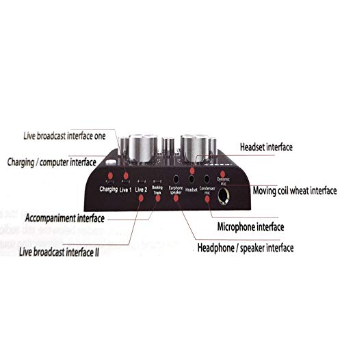 V8 Live Sound Card, Audio Mixer USB External Sound Card Headset Microphone Sound Card Live Broadcast KTV Sound Card for Double Cell Phone for Live KTV Voice Chat(Black)