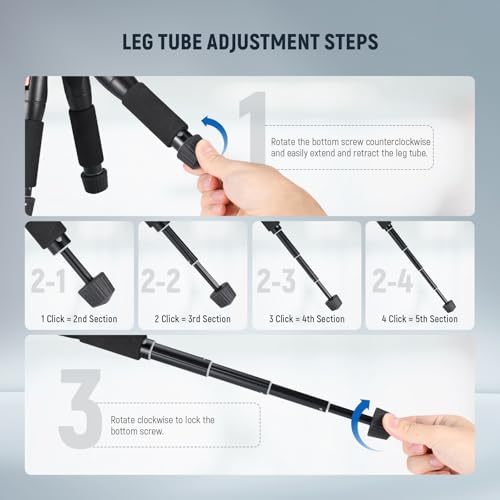 NEEWER Mini Desk Camera Tripod with Cell Phone Holder Compatible with iPhone for Video Recording Filming, 20"/50cm Small Portable DSLR Camcorder Webcam Stand, 360° Ball Head 1/4" QR Plate, TP-AAM521