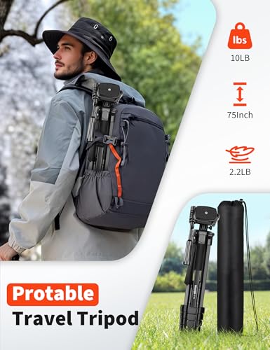 Nineigh 75" Phone Tripod Stand, Overhead Tripod for iPhone with Remote Phone Holder, Aluminum Travel Tripods for Video, Live Streaming & Vlogging, Compatible with iPhone Camera - size: 75 inch