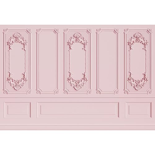 Leyiyi 5x4ft Light Pink Vintage Room Inside Backdrop European Frame Modern House French Castle Cementery Wall Retro Style Photo Background Cowboy Kids Birthday Vinyl Portrait Photo Studio Props - color: Pink, size: 5x4ft