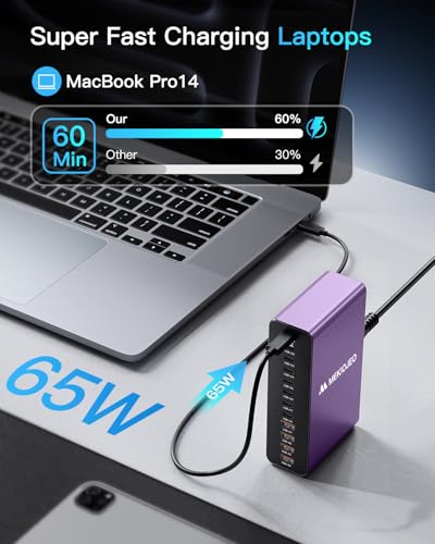 MEKIOJEO 12 Ports Aluminum Alloy 380W Charging Station Fast USB C Charger Block 65W Laptop GaN Charger for MacBook Pro/Air/iPad Pro/iPhone (Purple) - color: Purple
