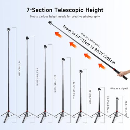 YSKE(MT-79) Light Stand Tripod 81", 7-Section 0.8lbs, Foldable - Camera Phone Mount for DSLR, GoPro, iPhone, LED Video Light, Ring Light, TikTok YouTube Creator