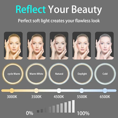 10" Desk Ring Light with Stable Tripod & Phone Holder, 120 LEDs 5-Color 10-Level Dimmable, Wireless Bluetooth Remote, Phone Selfie Light for Desk/Zoom/YouTube/TikTok - size: 10" Desktop