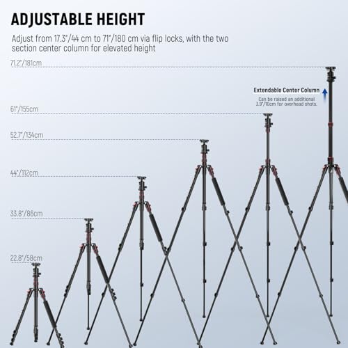 NEEWER Basics Camera Tripod Monopod, 71" Aluminum Heavy Duty Portable Travel DSLR Cell Phone Stand with 360° Ball Head Cellphone Holder Mount Compatible with iPhone for Filming Video Recording, TP15 - style: TP15 w/Ball Head