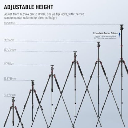 NEEWER Basics Camera Tripod Monopod, 71" Aluminum Heavy Duty Portable Travel DSLR Cell Phone Stand with 360° Ball Head Cellphone Holder Mount Compatible with iPhone for Filming Video Recording, TP15 - style: TP15 w/Ball Head