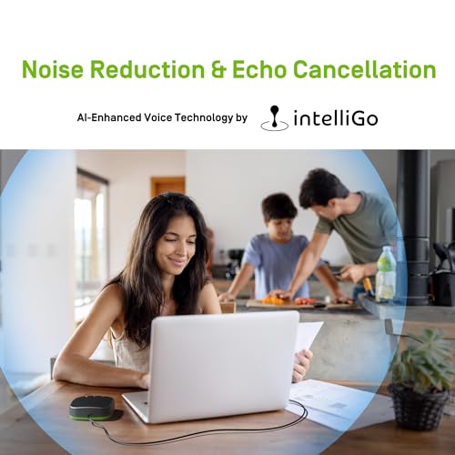 IPEVO VC-A10 USB Portable Speakerphone, Conferencing, Video Calls, Online Meetings, Hybrid Work, Meeting Rooms, Noise Reduction Microphone, 360° Voice Coverage, Easy Setup, Compatible with Teams, Zoom