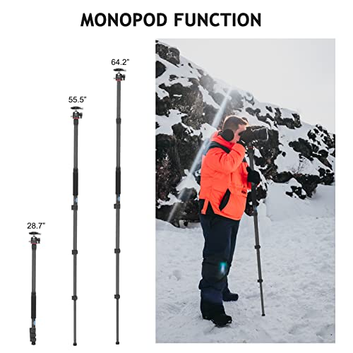 CAVIX 62" Professional Carbon Fiber Camera Tripod, Tripod & Monopod 2 in 1, Lightweight Travel Tripod with 360° Ball Head and Arca-Swiss QR Plate, 22lbs/10kg Load for DSLR Video Travel Photography - size: Carbon Fiber(62")