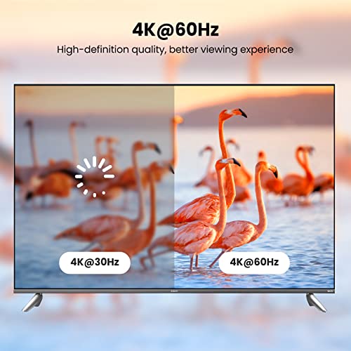 UGREEN Micro HDMI to HDMI Cable Adapter 4K 60Hz Ethernet Audio Return Channel Compatible with GoPro Hero 7/6 Raspberry Pi 5 Retroid Pocket 3+/3 Yoga 3 B500 Camera Video Capture Card 10FT - size: 10FT