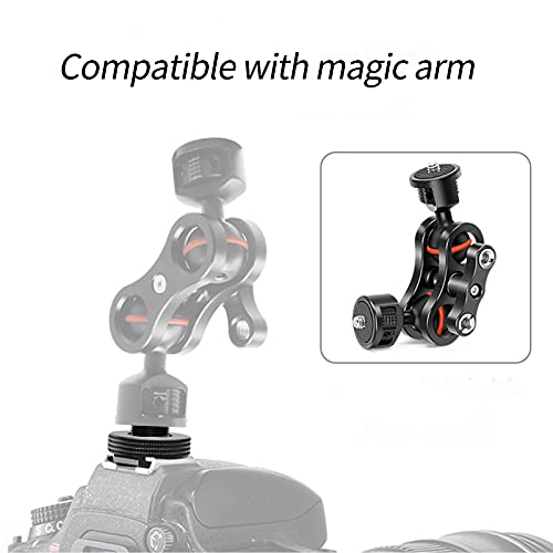 1/4" Female to Hot Shoe Adapter - 2 Packs, Hot Shoe Mount Adapter with 1/4" Male Screw Adapter for Magic Arm, Monitor, Video Light