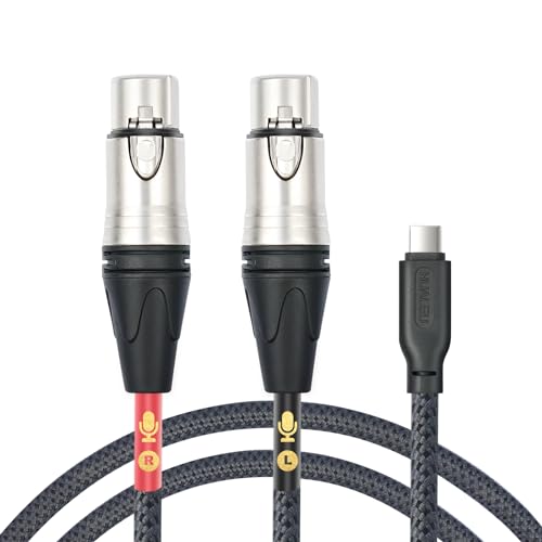 HUALUE 3.3Feet Stereo Dual XLR Female to USB C,Smartphone USB C Microphone Cable，Dual Channel Stereo Input USB C to XLR Female for iPhone 15 ipad Dynamic Microphone Laptop - color: silver, size: 3.3FT