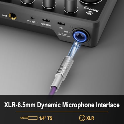 Podcast Equipment Bundle for 2, with XLR Dynamic Microphone, TF card, 5RGB,Surround Sound,Suitable for Live Streaming/TikTok/YouTube, Compatible with iOS,Android,PC,Camera RS2 - style: Audio interface+ 2 dynamic mics