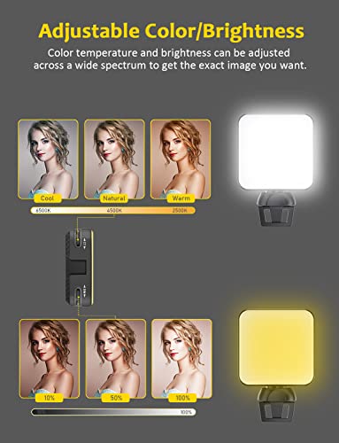 NexiGo 4K Business Webcam Kit, N60 Pro UHD Web Cam with Autofocus, 1080p 60 fps, Noise-Canceling Mics, Video Conference Light, Flexible Tripod Stand, for Switch 2/Zoom/Teams/Google Meet