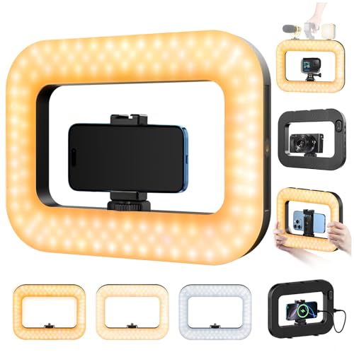 yAyusi Cell Phone Light for Video Recording, Handheld Phone Stabilizer with Light, 8000mAh LED Selfie Phones Ring Light with Phones Holder, Smartphone Video Rig for Camera, Action Camera, Vlog, TikTok - size: Clip