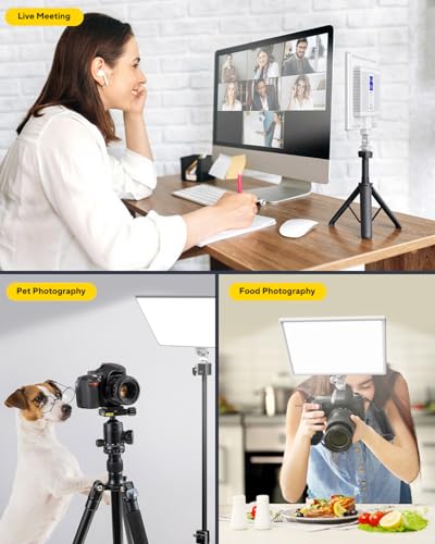 RALENO Led Video Light, Built-in 8000mAh Battery 2500-6500K CRI95+ 0-100% Brightness Adjustment on Camera Light, for Vlog Lighting Video Conference YouTube Studio Photography - color: White