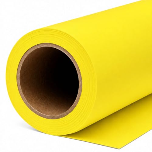 Yizhily Seamless Aspen Backdrop Paper Roll, 53" x 16.4', Heavyweight MatteAspen Photo Background for Small Studio Headshots, Tabletop Product & Food Photography - color: Aspen, size: 53" x16.4'