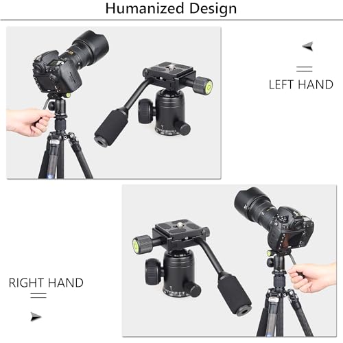 Ball Head with Handle ARTCISE Camera Tripod Ball Head with Two Quick Release Plates and Phone Clip for Monopod, 360 Degree Panoramic Head for Tripod, Monopod, Slider, DSLR Camera，Max Load 22lb/10kg