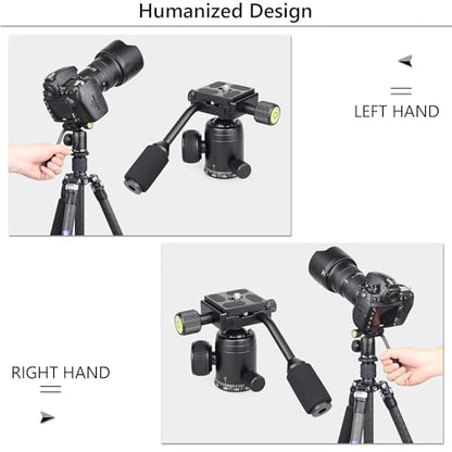 Ball Head with Handle ARTCISE Camera Tripod Ball Head with Two Quick Release Plates and Phone Clip for Monopod, 360 Degree Panoramic Head for Tripod, Monopod, Slider, DSLR Camera，Max Load 22lb/10kg