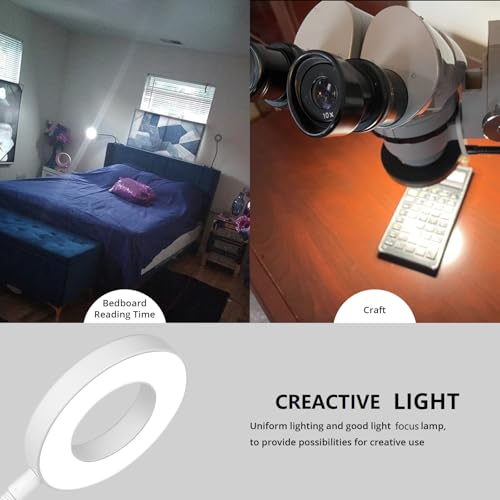 Woputne Desk Clip on Lamp for Reading Home Office, with 5V 2A Adapter, 10 Dimmable Brightness 3 Modes, Clamp Reading Light for Bed Headboard, Craft (White) - size: White-1 Piece-Standard-With Adapter