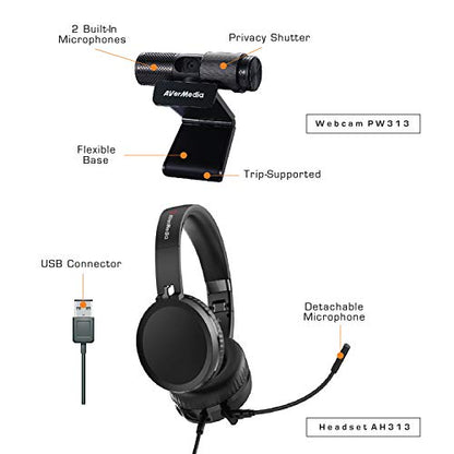 AVerMedia Video Conference Kit 317