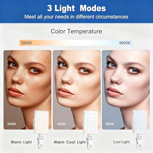 Selfie Light, Phone Light with Front & Back Clip, 60 LED Portable Light with 3 Modes, 5000mAh Rechargeable Video Light for Phone, iPhone, IPad, Laptop, TikTok, Makeup, Lighting Monolights(White) - color: White