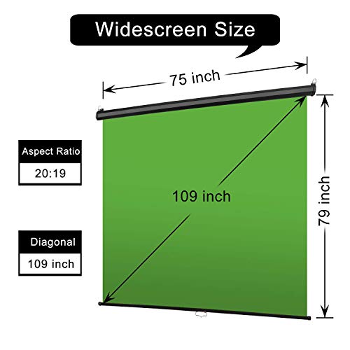 EMART 75 x 79in Retractable Green Screen, Chroma Key Panel Pull Down Auto-Locking and Self-Rewinding, Collapsible Wrinkle-Resistant Chromakey Backdrop for Zoom, Streaming, Photographic Studio