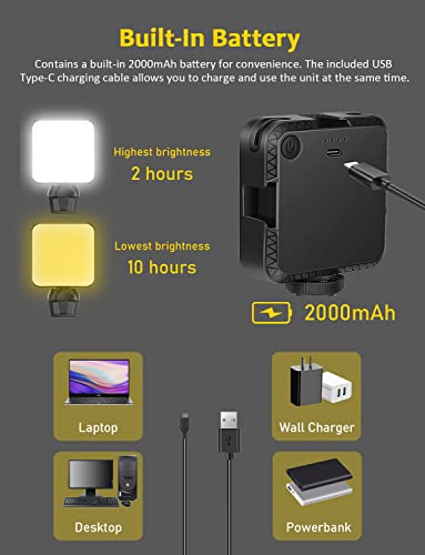 NexiGo 1080P Business Webcam Kits, N60 HD Web Camera with Microphone and Privacy Cover, Software Control, Enhanced Video Conference Lighting Kit with Webcam Style Clip, for Zoom/Skype/Teams