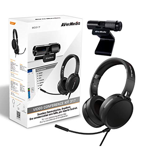 AVerMedia Video Conference Kit 317