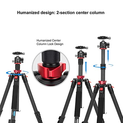 CAVIX Professional 62" Carbon Fiber Camera Tripod, Tripod & Monopod 2 in 1, Lightweight Travel Tripod with 360° Ball Head, Arca Quick Release, 22lb Load for DSLR Video Travel Photography - size: Carbon Fiber(62")