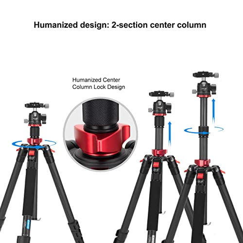 CAVIX 62" Professional Carbon Fiber Camera Tripod, Tripod & Monopod 2 in 1, Lightweight Travel Tripod with 360° Ball Head and Arca-Swiss QR Plate, 22lbs/10kg Load for DSLR Video Travel Photography - size: Carbon Fiber(62")