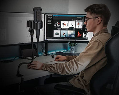 Microphone Stand 13" Flexible Gooseneck Desktop Mic Stand Multi-Function Mic Stand Phone Holder with Upgraded Mic Clip and Heavy Duty Desk Clamp, 3/8" to 5/8" Screw Adapter for Universal Mic - size: 13INCHS-1PACK