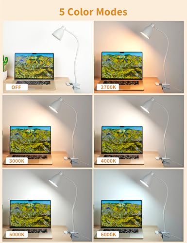 BOHON Clamp Lamp 5 Color Modes 10 Brightness Dimmer Bedside Lamp, White | Reading Light 10W 38 LED Desk Lamp with Auto Off Timer 360° Flexible Gooseneck Clip on Light for Bed Office, Adapter Include - color: White