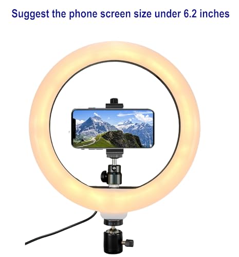 Webcam Light, Ring Light for Logitech Webcam C920,C922x,C930e,Brio 4K,C925e,MX Brio 4K,StreamCam,Brio 500,C615 1/4'' Screw Hole- 10'' Light (Without Tripod and Stand)