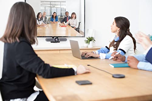 Logitech Expansion Mic for MeetUp, Plug-and-Play, Indicator Lights, Microphone Type Mono, Wideband, Noise Canceling, PC/Mac/Laptop/MacBook/Tablet - Black