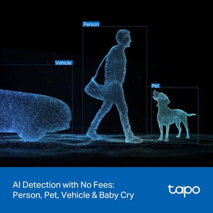 Tapo 2K Indoor/Outdoor Dual Lens Pan/Tilt Wired Security Camera - 125° Wide-Angle View + 6mm Zoom, Motion Track, Person/Vehicle Detection, Local Storage or Optional Cloud, C246D - size: 1-Pack, style: 2K Dual-Lens Pan/Tilt