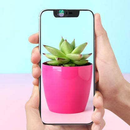 Laptop Camera Cover Slide Webcam Cover for Privacy Fits for Mini PC, PC, Surface, Tablet, Desktop Computer, Smart Phone - 3 Packs, Plants - color: Plants