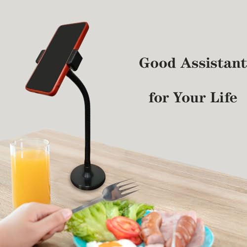 Gooseneck Podium Microphone Mount Stand, 13 inch Flexible Arm with Weighted Base and Clip, Black