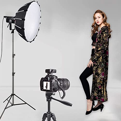 Heavy Duty Light Stand 9.5ft, Aluminum Alloy Lights Stand Spring Cushioned Adjustable Photo Video Lighting Stand, Photography Studio Tripod Stands for Flash LED Video Lights, Ring Lighting, Softboxes - size: Light Stand KT2