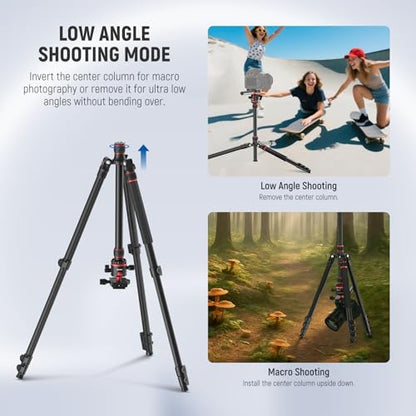 NEEWER Basics Camera Tripod Monopod, 77" Compact Lightweight Travel DSLR Video Stand, 360° Ball Head, Arca Type QR Plate, Reversible Legs & Inverted Central Axis, 13lb Max Load, TP08 - style: TP08
