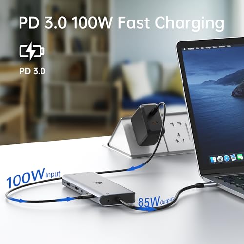 LIONWEI Laptop Docking Station 13 in 1 - Dual HDMI+DisplayPort+10Gbps, 6 USB C/A, 100W PD, Ethernet, SD/TF, Audio, USB C Hub for MacBook/Dell/HP/Surface - color: 13 IN 1(2 HDMI+DisplayPort)