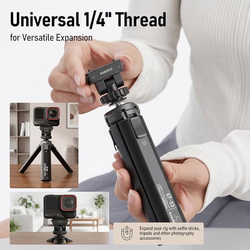 AMBITFUL IA03 Magnetic Quick Release Cold Shoe Ball Head Mount, Action Camera Adapter for Insta360 Cameras, Quick Swap Mini Camera Mount for DSLR, Camera Cage, Tripod and Video Rig - color: Cold Shoe Mount